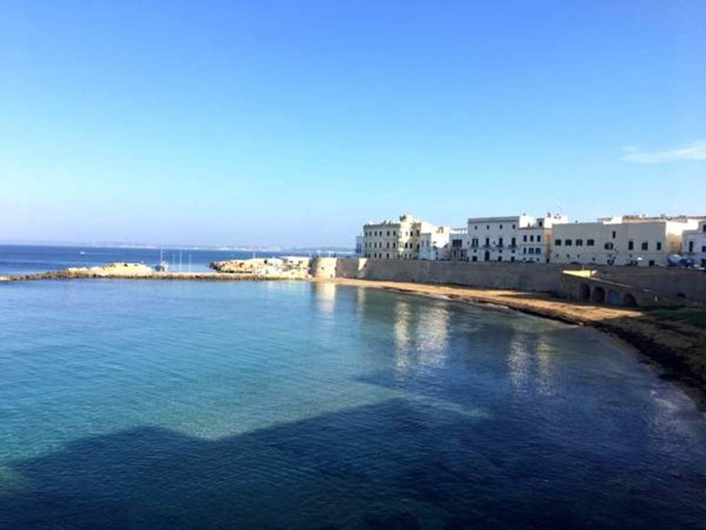 Angioina * Gallipoli